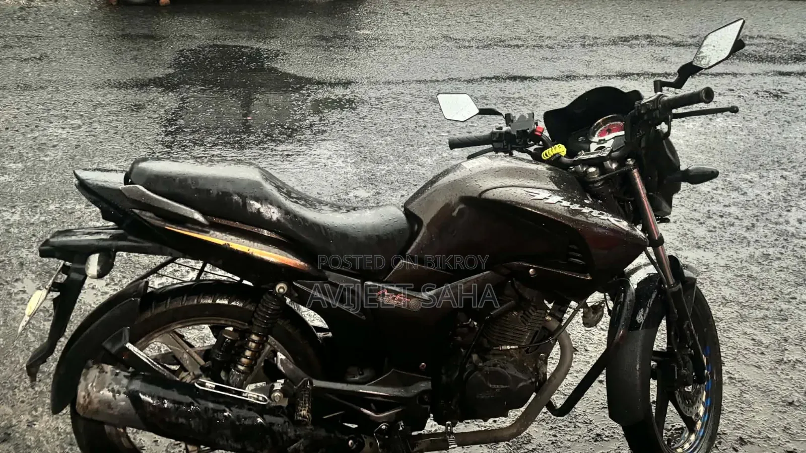 হিরো হাঙ্ক ২০১৯ ব্রাউন