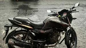 হিরো হাঙ্ক ২০১৯ ব্রাউন