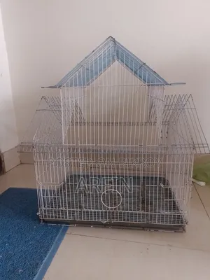 Big Bird Case