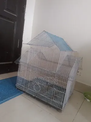 Big Bird Case