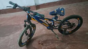Bycheals 100