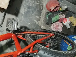 Veloce Junior Cycle