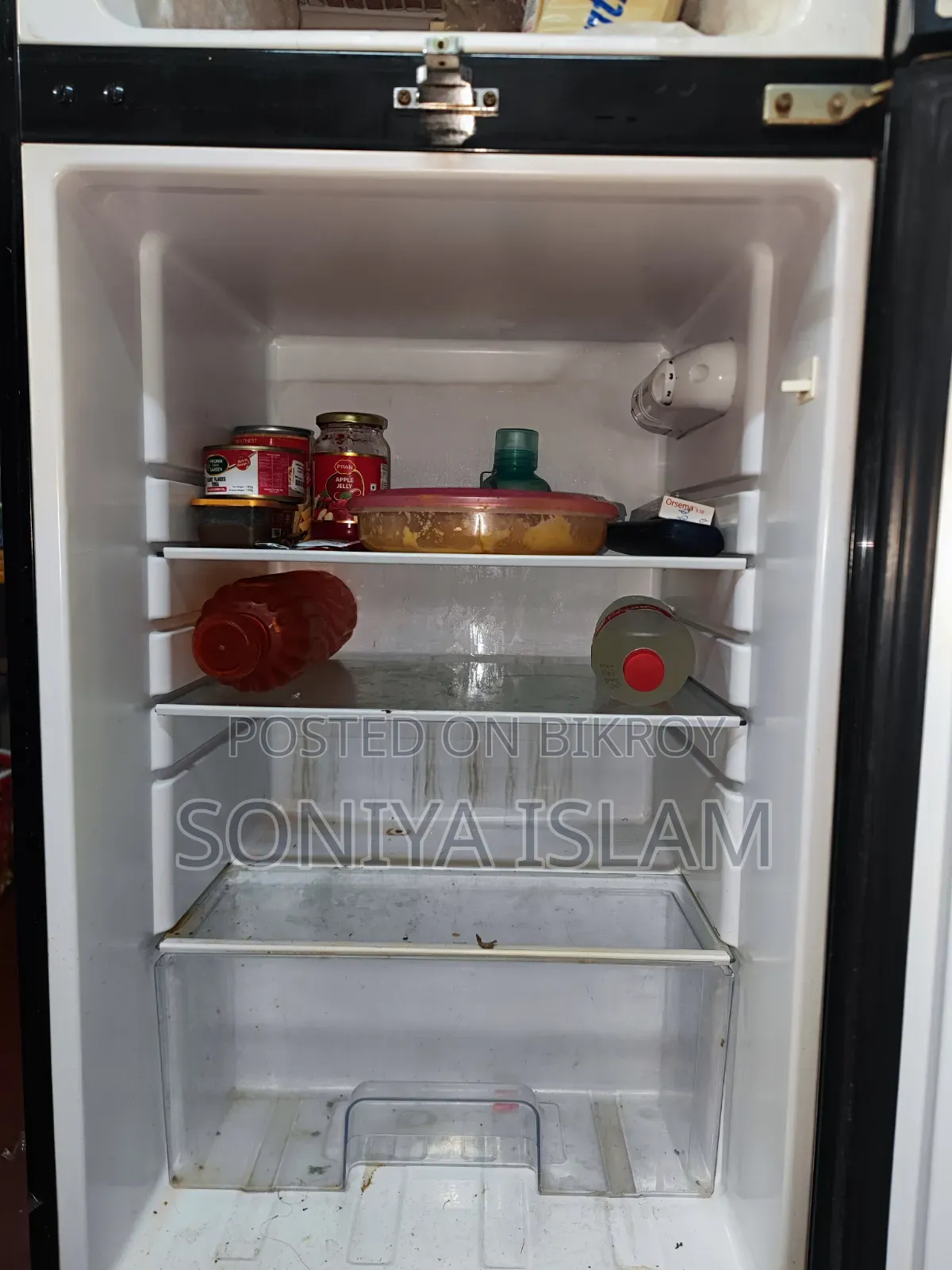 Singer Fridge