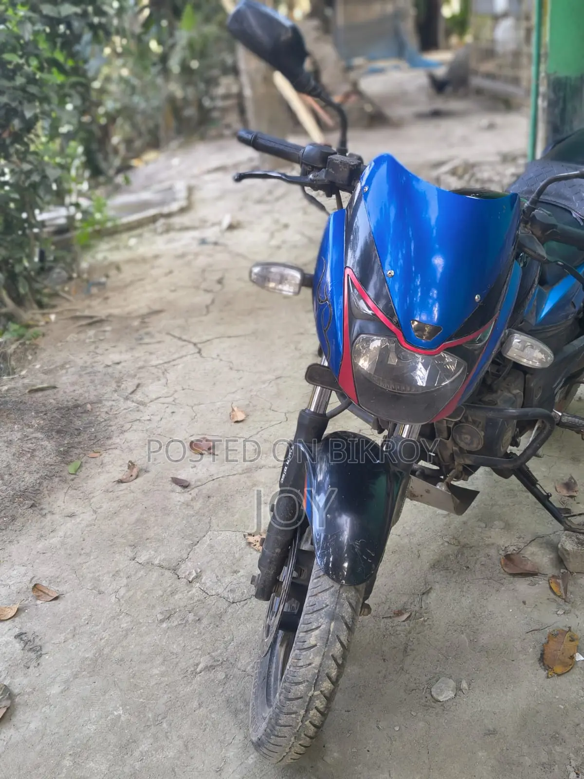 Bajaj Pulsar 150 2019 Blue