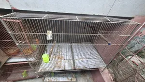 Cage for Sale