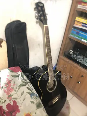 টিজিএম গিটার
