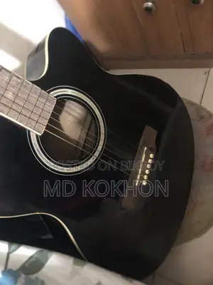 টিজিএম গিটার