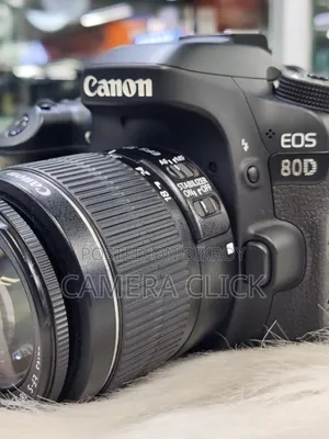 Canon 80D With 18-55mm IS Lens