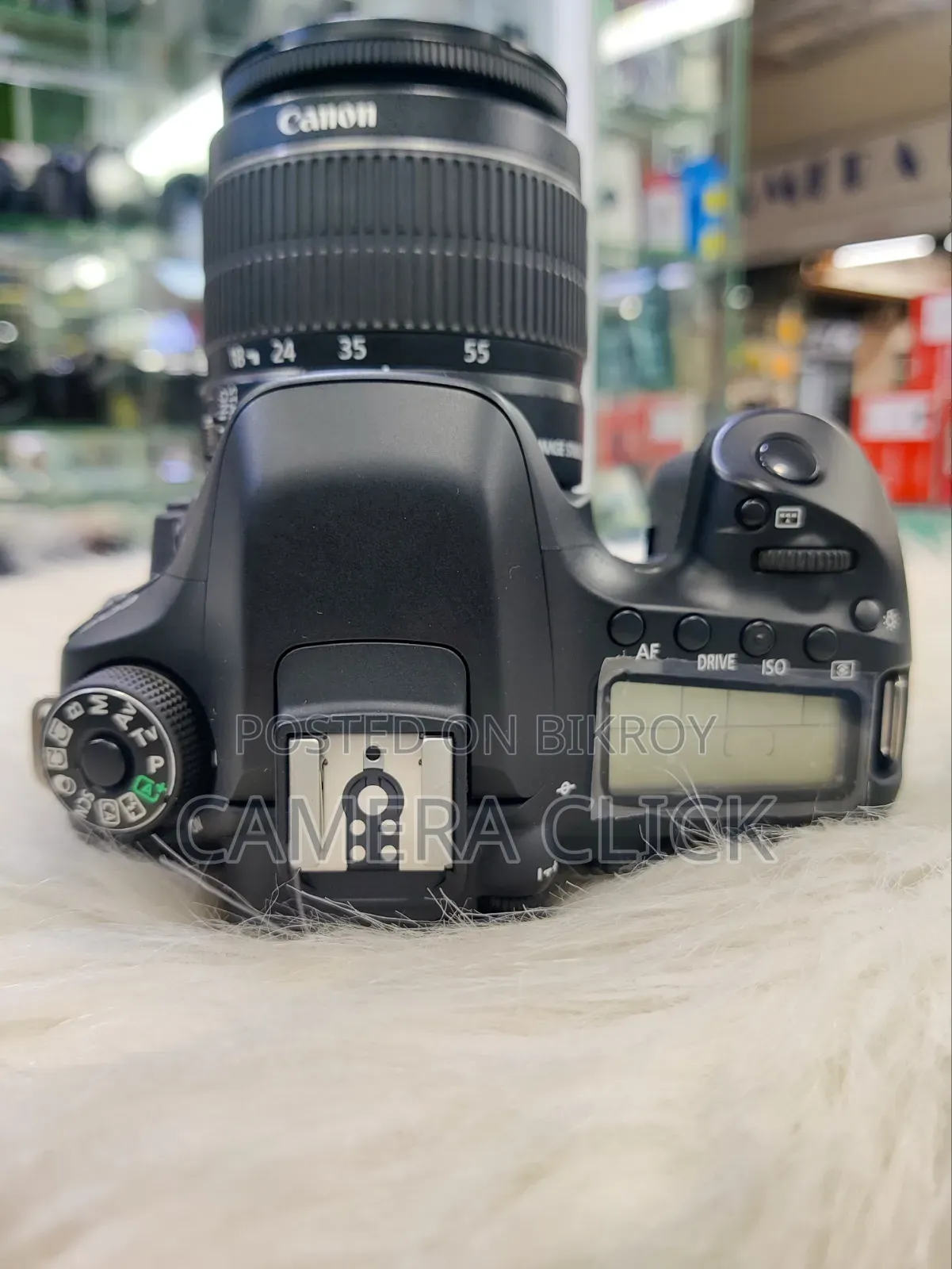 Canon 80D With 18-55mm IS Lens