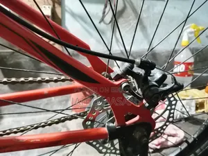 Veloce Junior Cycle