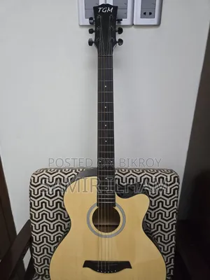 অ্যাকোস্টিক গিটার