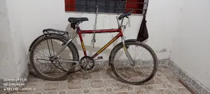 রেনগার ম্যাক্স