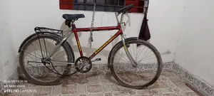 রেনগার ম্যাক্স