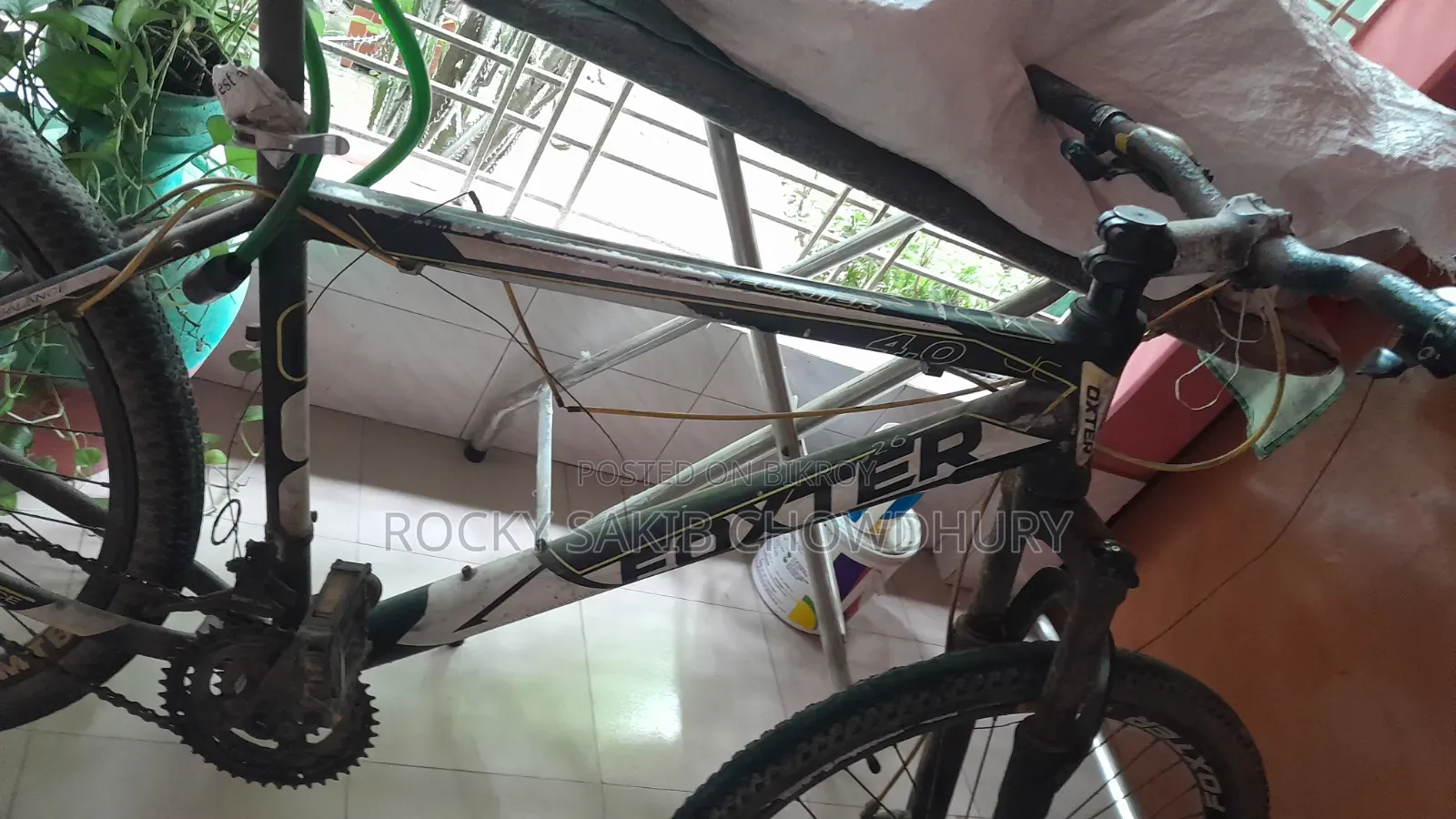 Foxter 4.0 Bicycle