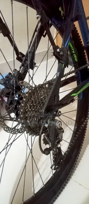 Cycle Veloce Seventy One Warrior 2.0