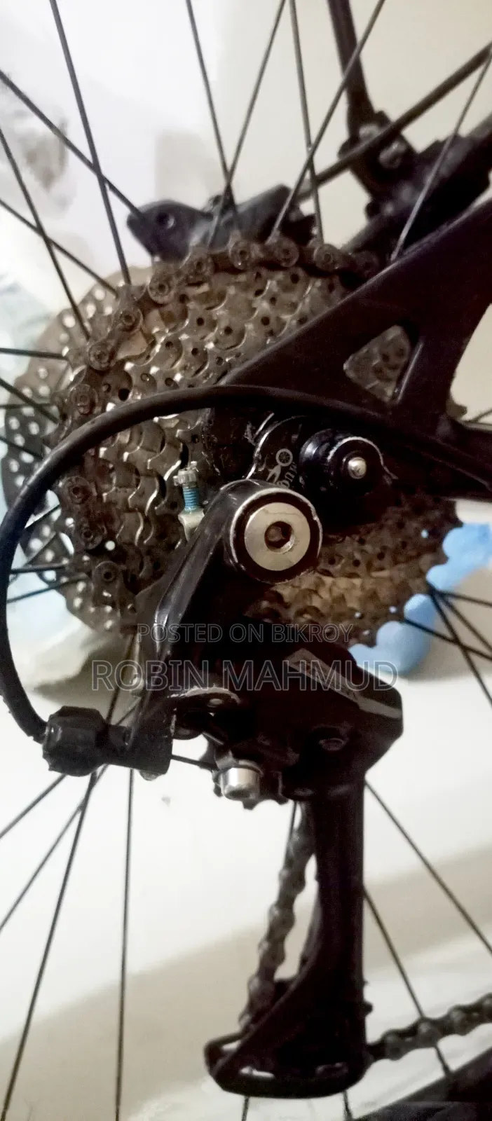 Cycle Veloce Seventy One Warrior 2.0