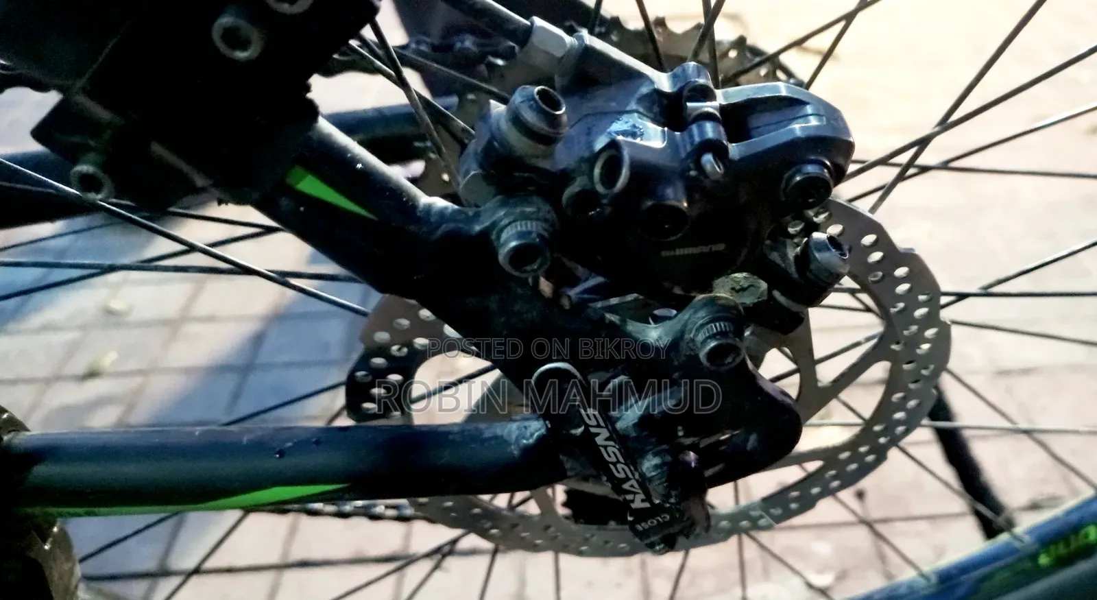 Cycle Veloce Seventy One Warrior 2.0