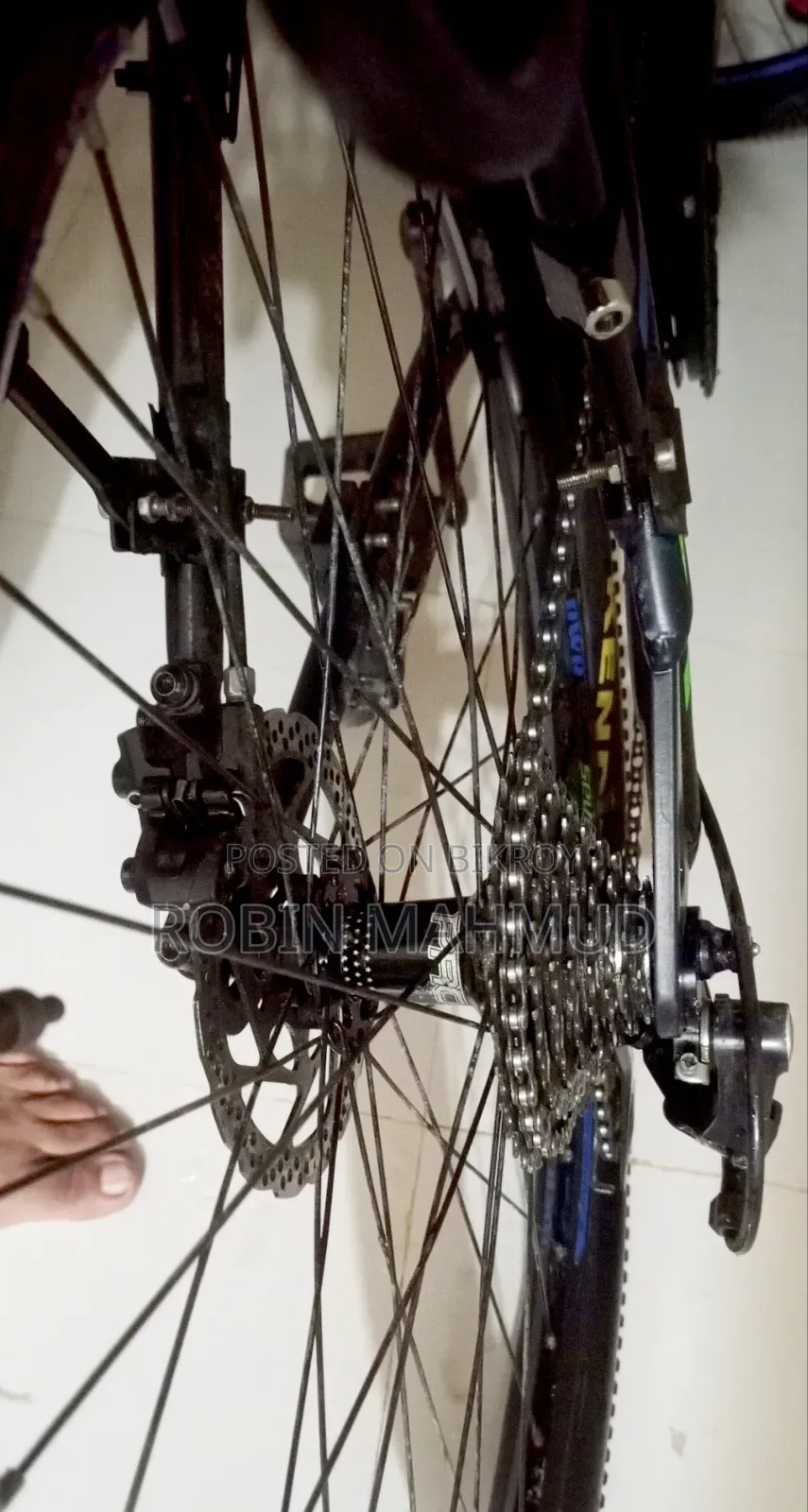 Cycle Veloce Seventy One Warrior 2.0