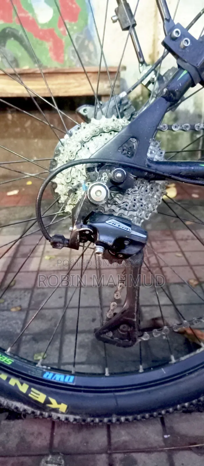 Cycle Veloce Seventy One Warrior 2.0