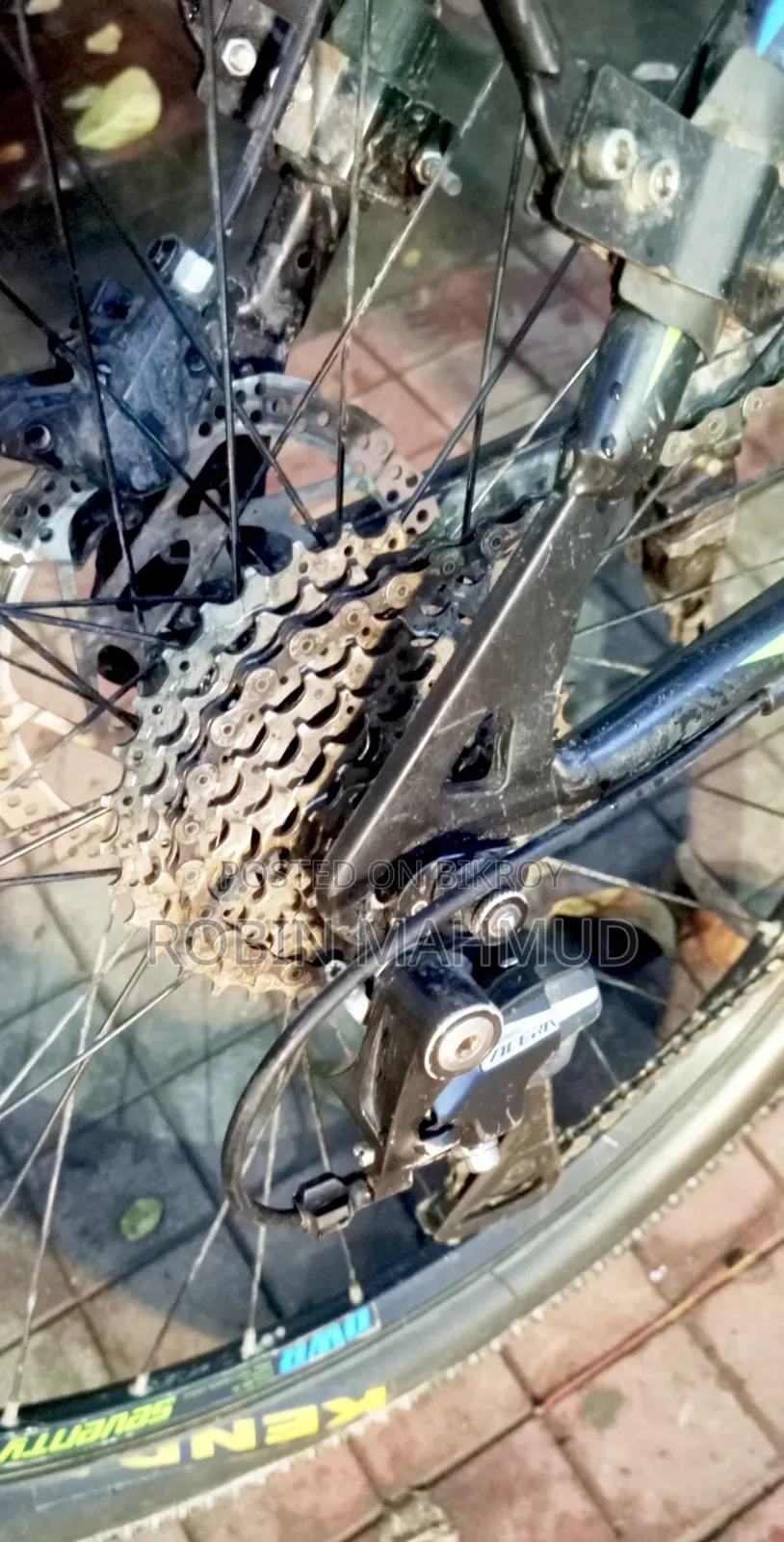 Cycle Veloce Seventy One Warrior 2.0