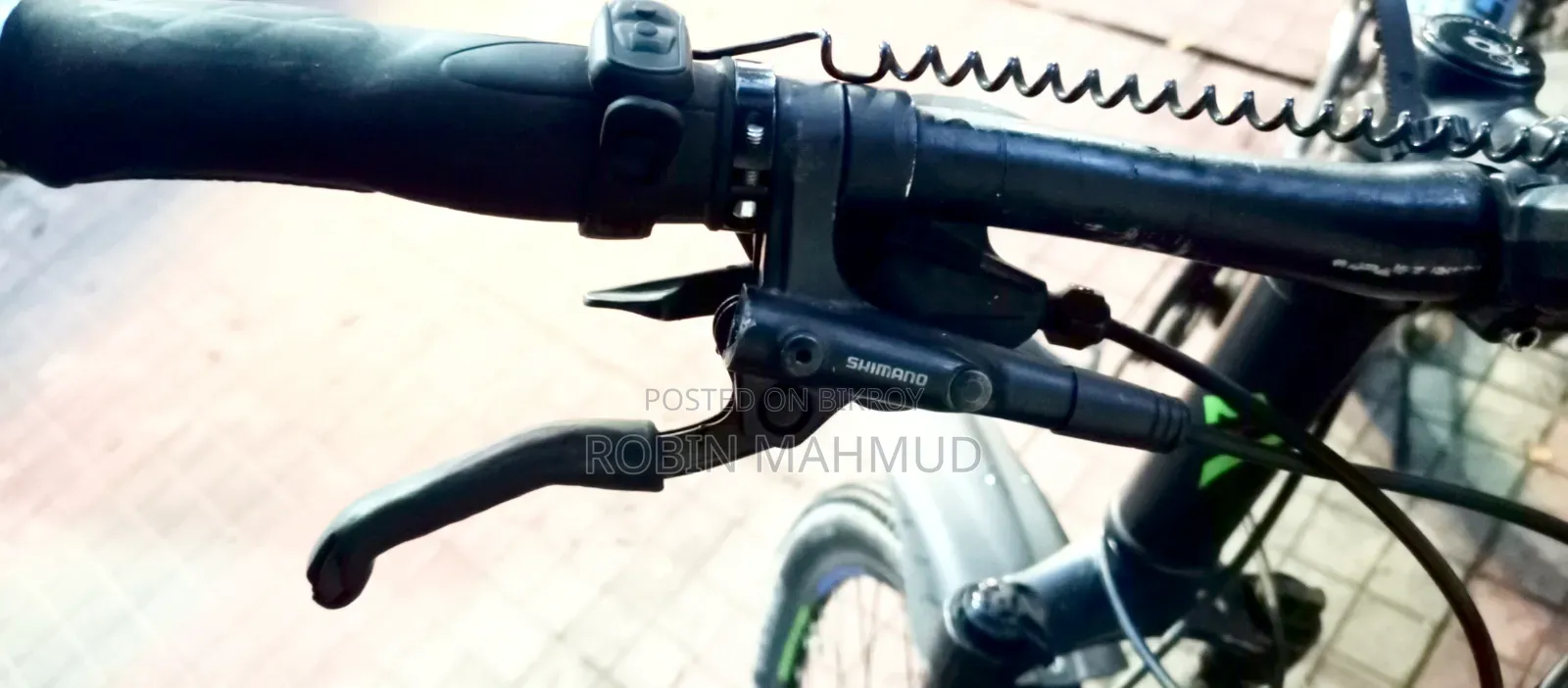 Cycle Veloce Seventy One Warrior 2.0
