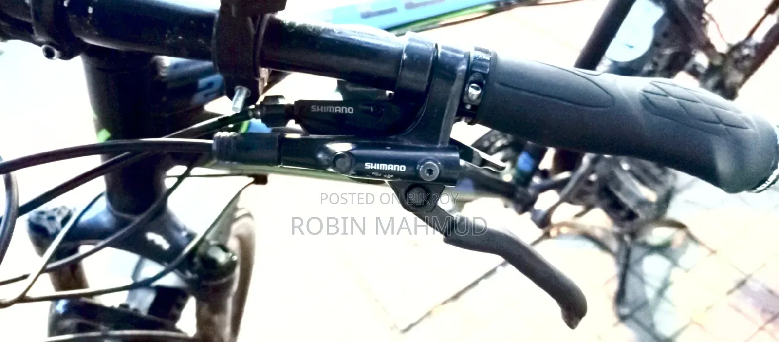 Cycle Veloce Seventy One Warrior 2.0