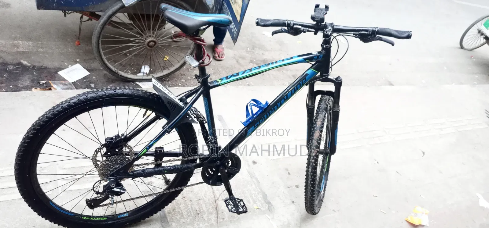 Cycle Veloce Seventy One Warrior 2.0