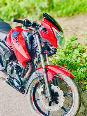 TVS Apache RTR 160 2V 2019 Red