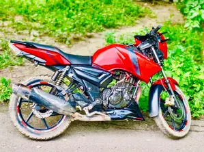 TVS Apache RTR 160 2V 2019 Red