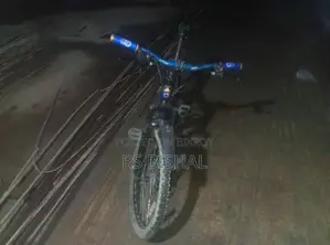 Gear Bicycle