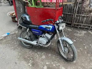 ইয়ামাহা ২০০০ নীল
