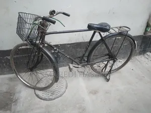 Phoenix Cycle 28"