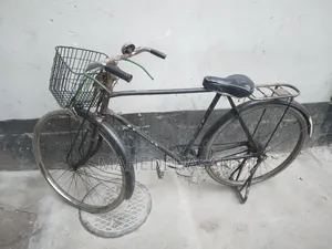 Phoenix Cycle 28"