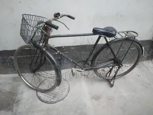 Phoenix Cycle 28"