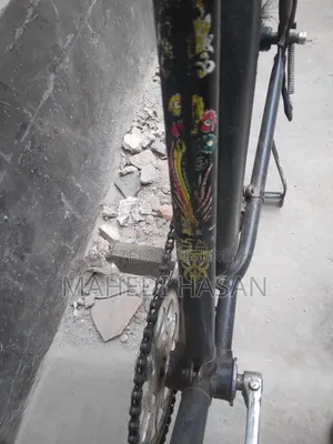Phoenix Cycle 28"
