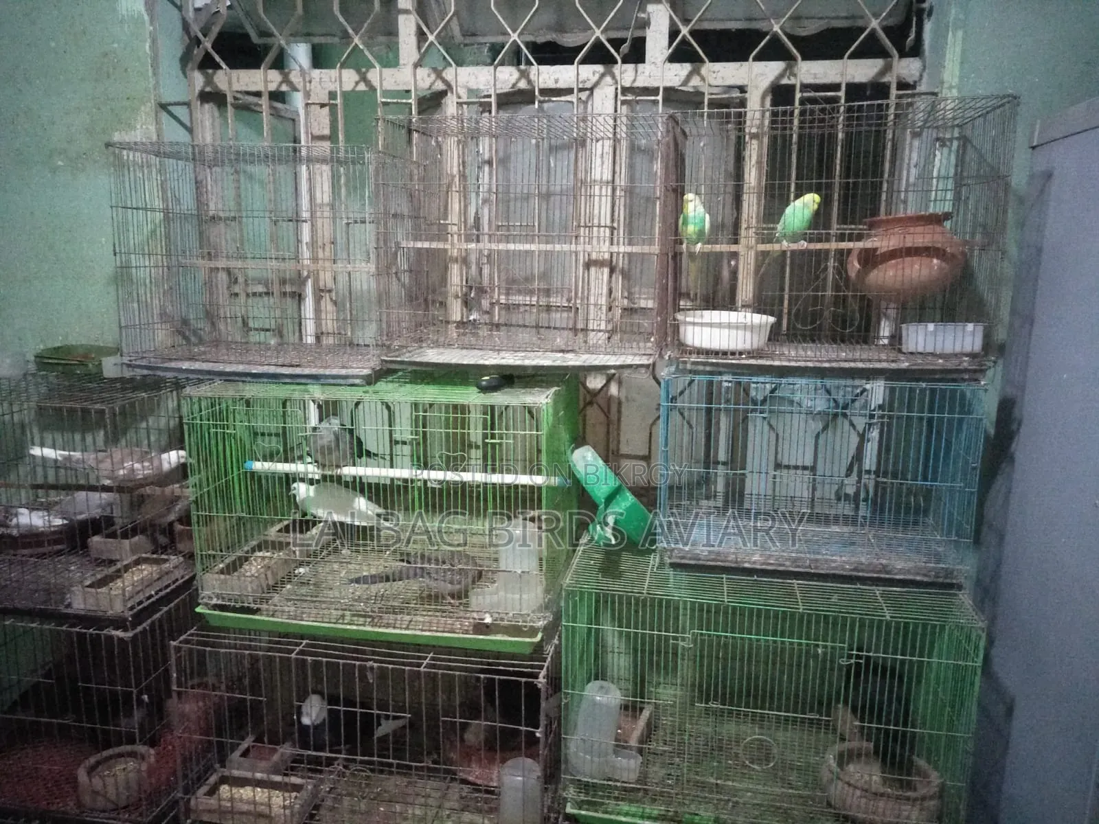 ব্রেডিং বক্স খাঁচা বিক্রি হবে।