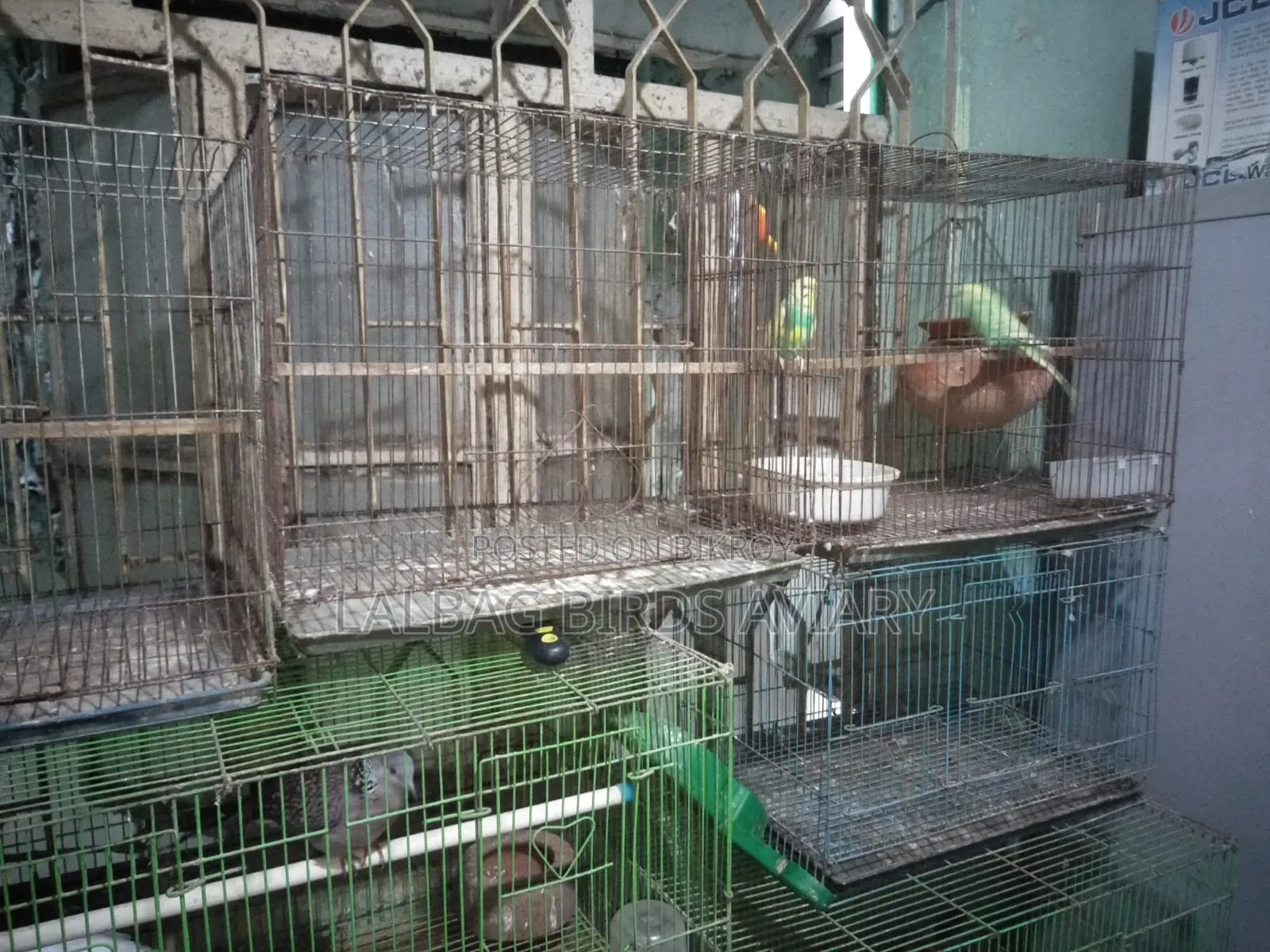 ব্রেডিং বক্স খাঁচা বিক্রি হবে।