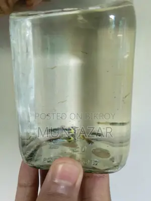 1 Month Old Yellow Cobra Tiger Guppy Fry - Color Started