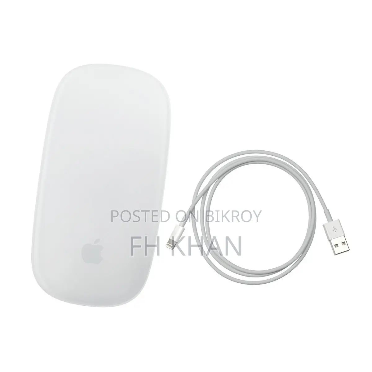 Apple Magic Mouse (Lightning Port)