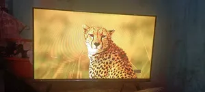 ওয়ালটন গুগল টিভি