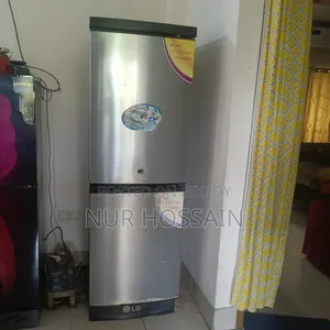 এলজি ফ্রিজ স্টাবিলাইজারসহ