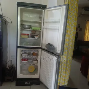 এলজি ফ্রিজ স্টাবিলাইজারসহ