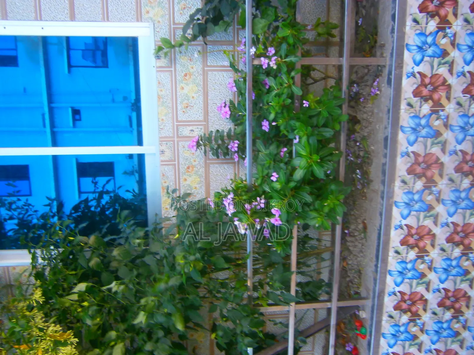 Olympus Vg-160 (Digicam)