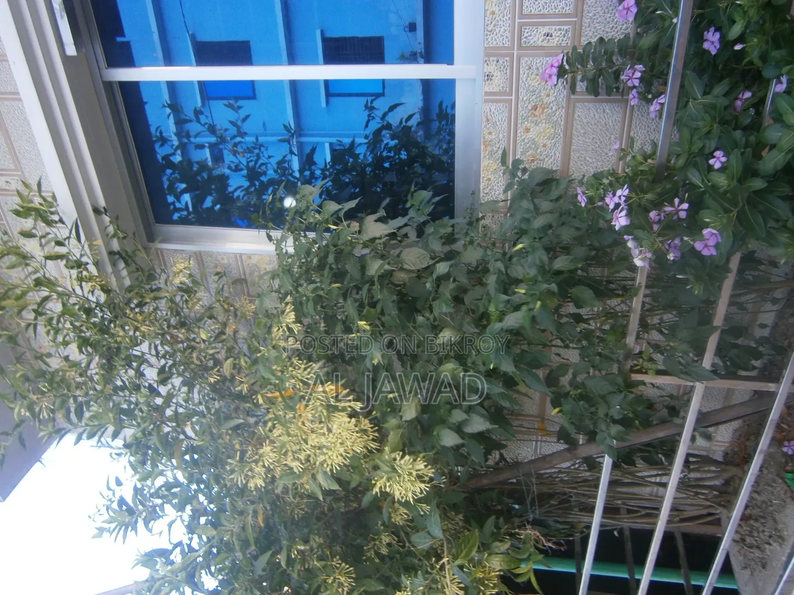 Olympus Vg-160 (Digicam)
