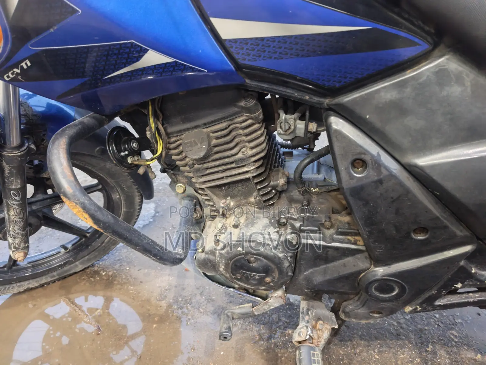 TVS 2011 Blue
