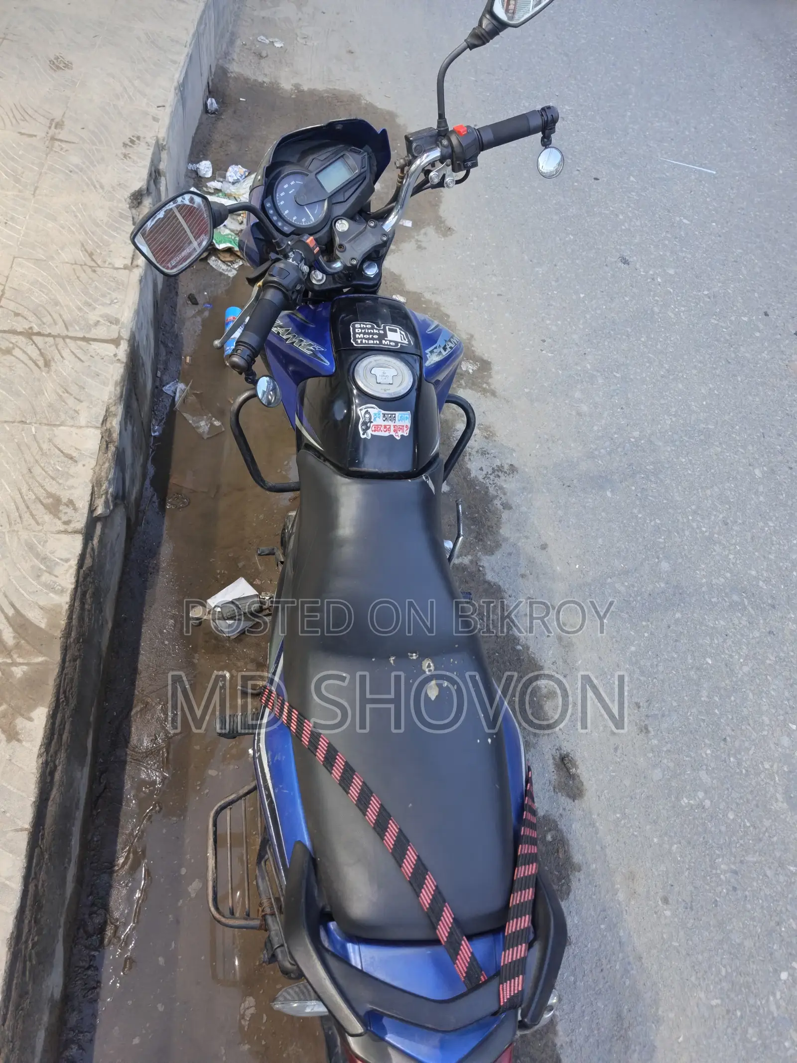 TVS 2011 Blue