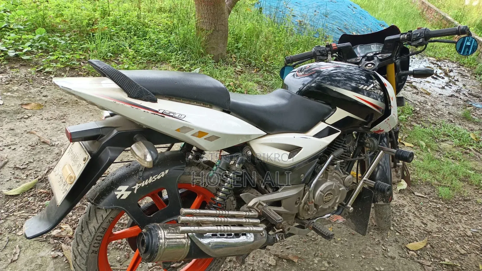 Bajaj Pulsar 150 2016 White