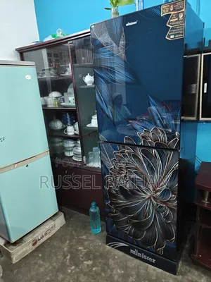 LG Butterfly Eco Plus Fridge