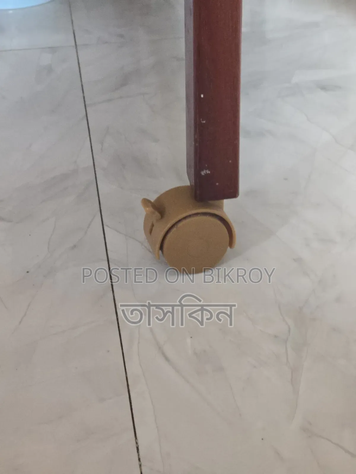 সর্স / লিটল মাস্টার বেবি ক্রিভ (কট)