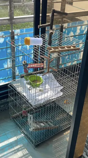 Two-Story Bird Cage